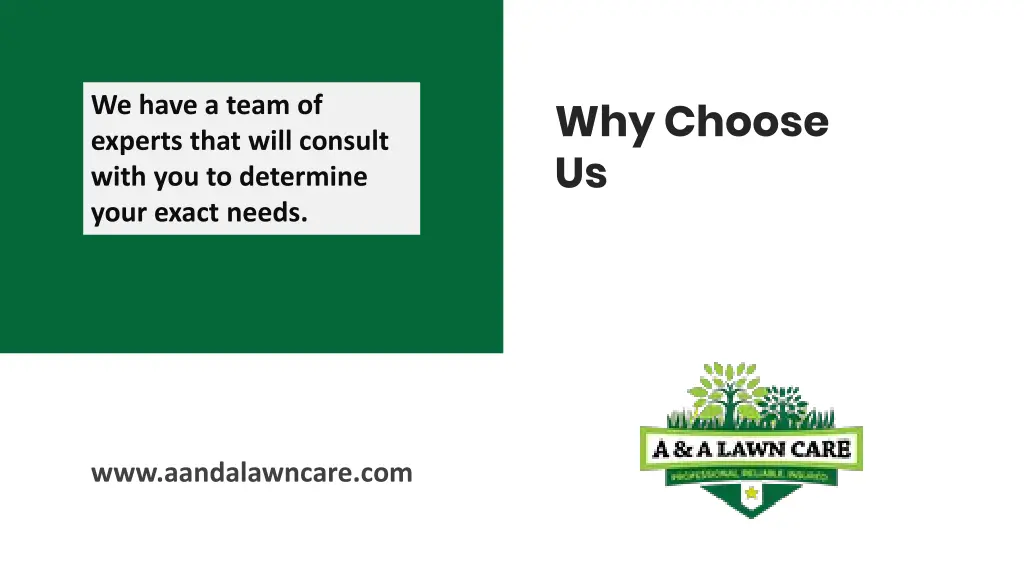 why choose us