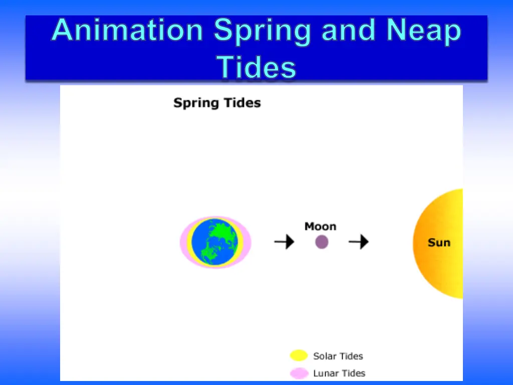 animation spring and neap tides