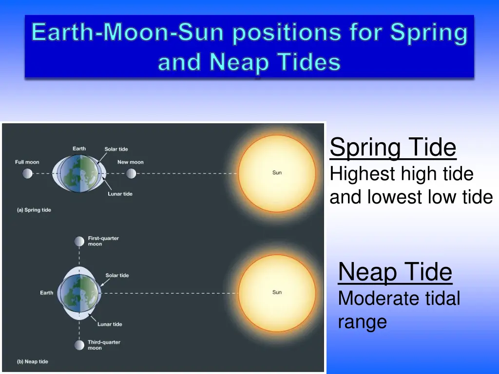 earth moon sun positions for spring and neap tides