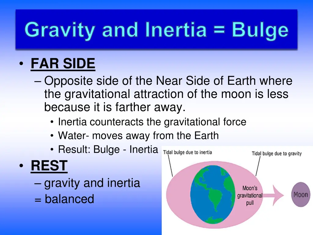 gravity and inertia bulge 1