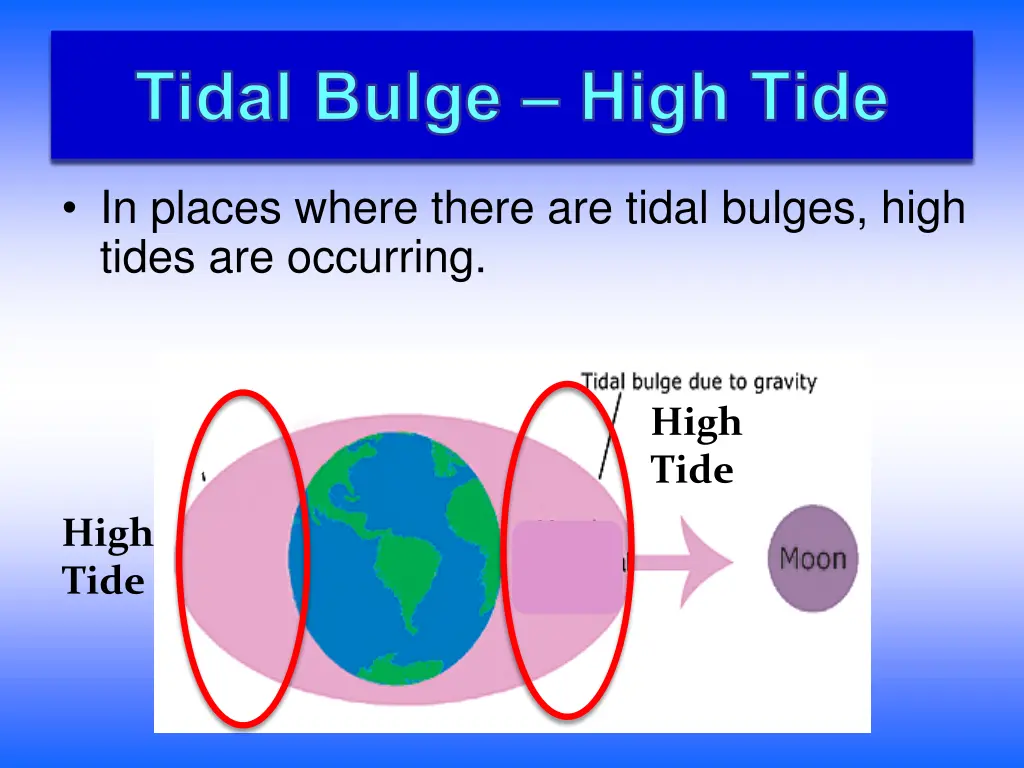 tidal bulge high tide