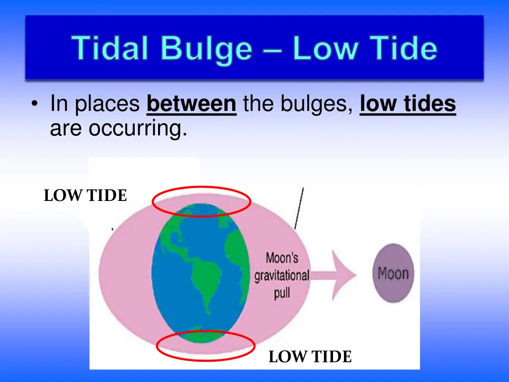 tidal bulge low tide