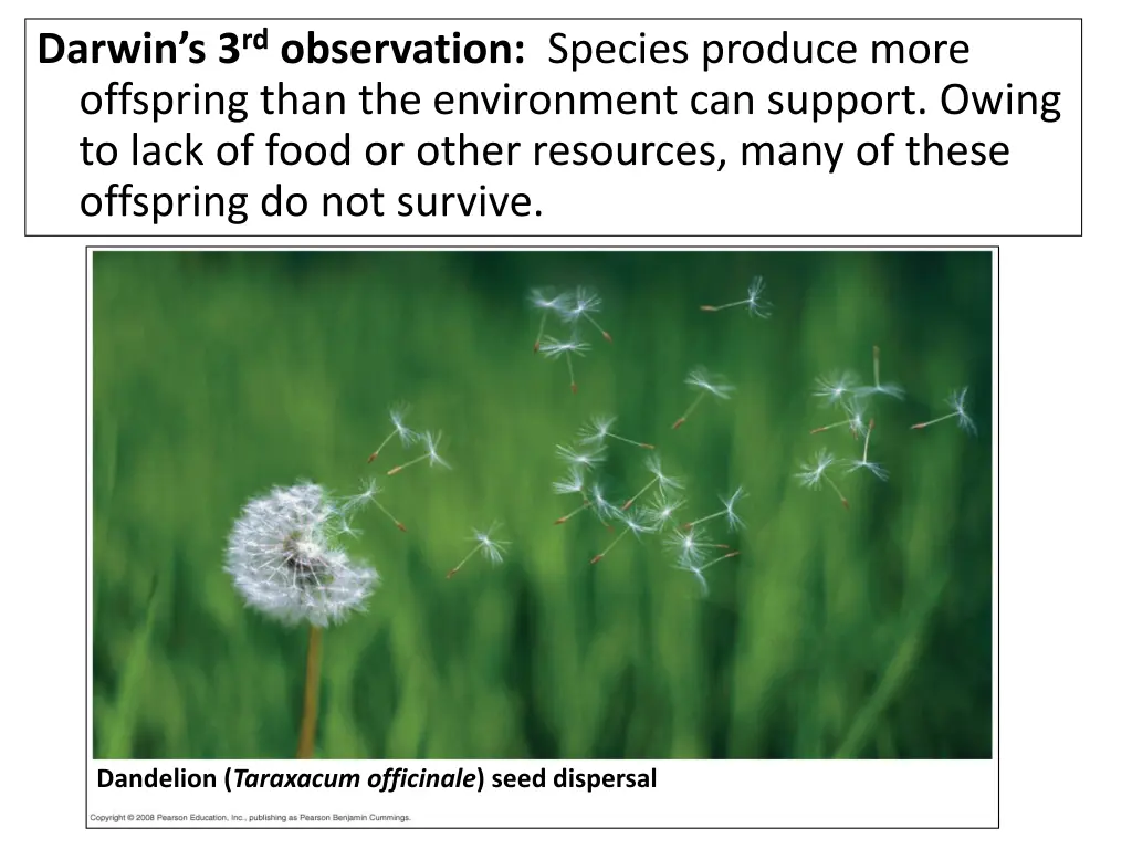 darwin s 3 rd observation species produce more