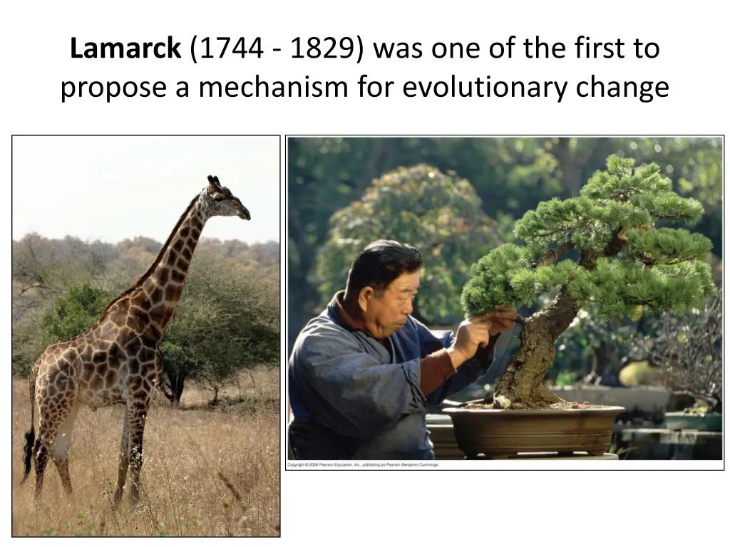lamarck 1744 1829 was one of the first to propose