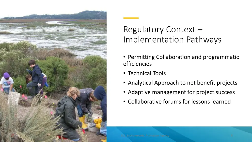 regulatory context implementation pathways