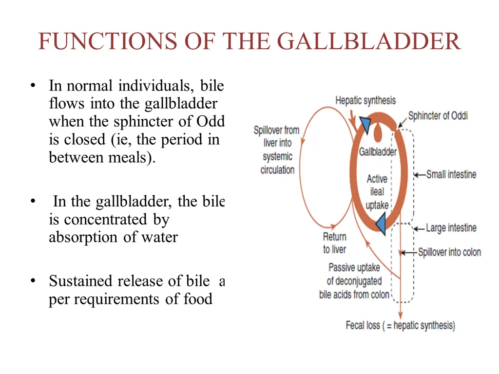 functions of the gallbladder