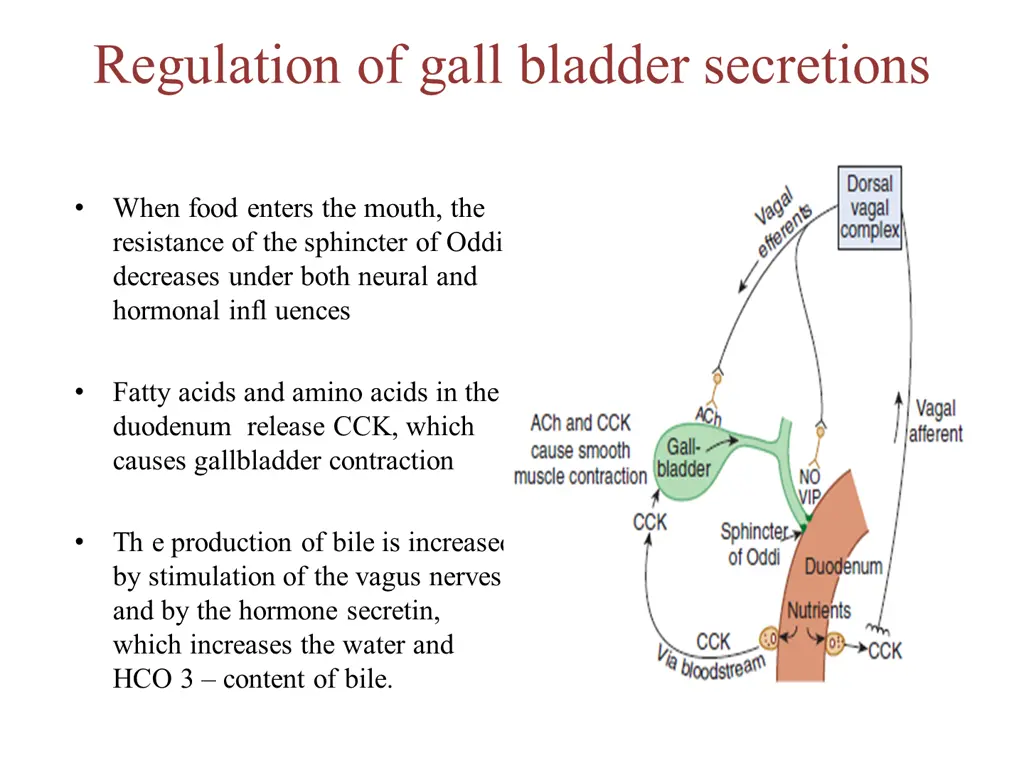 regulation of gall bladder secretions