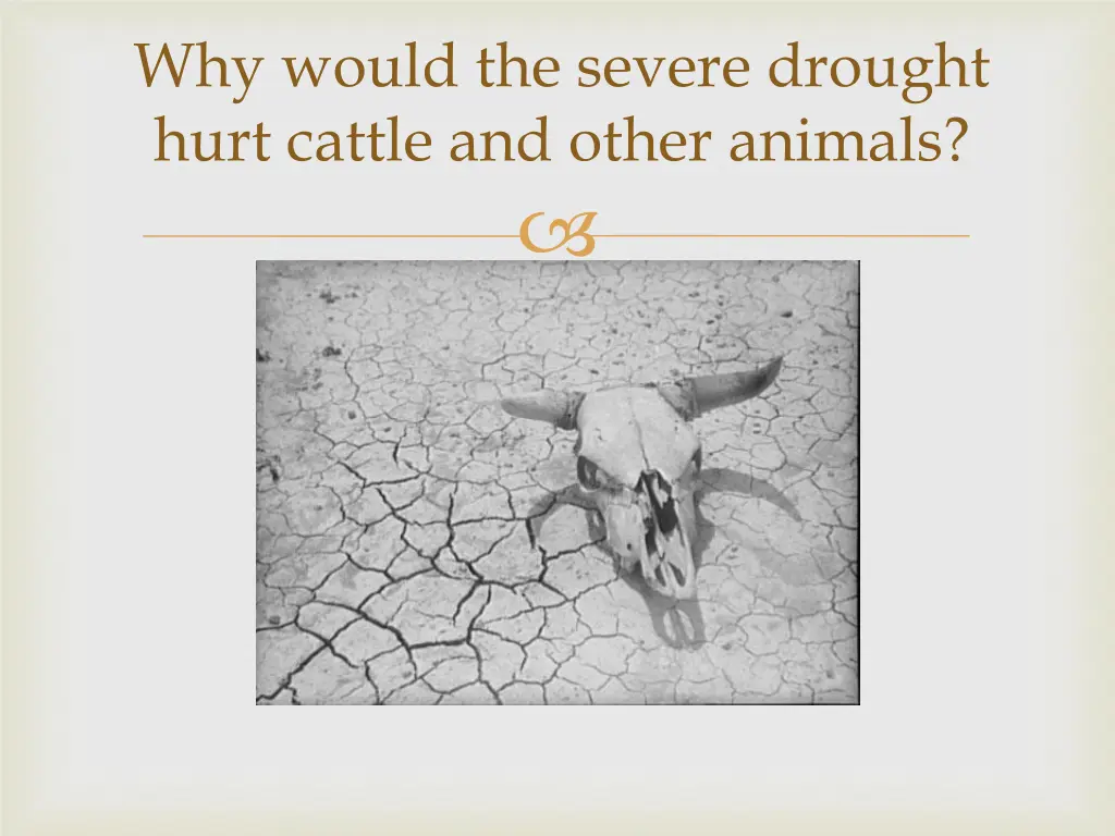 why would the severe drought hurt cattle