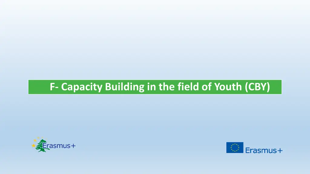 f capacity building in the field of youth cby