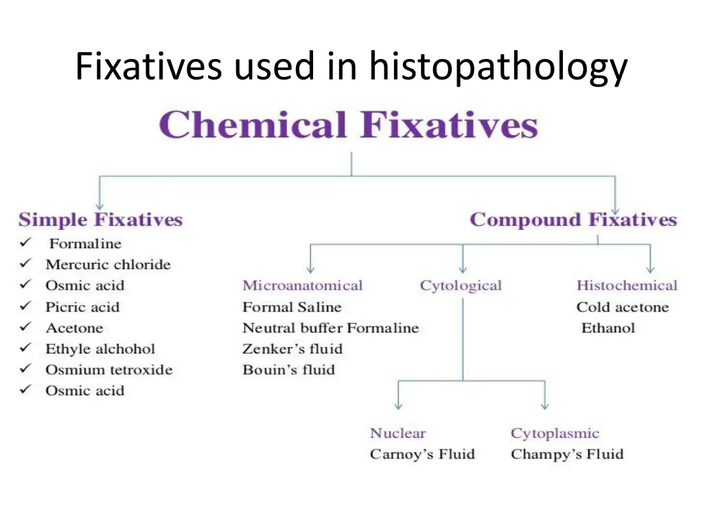 fixatives used in histopathology