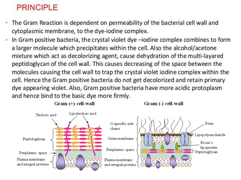 slide14