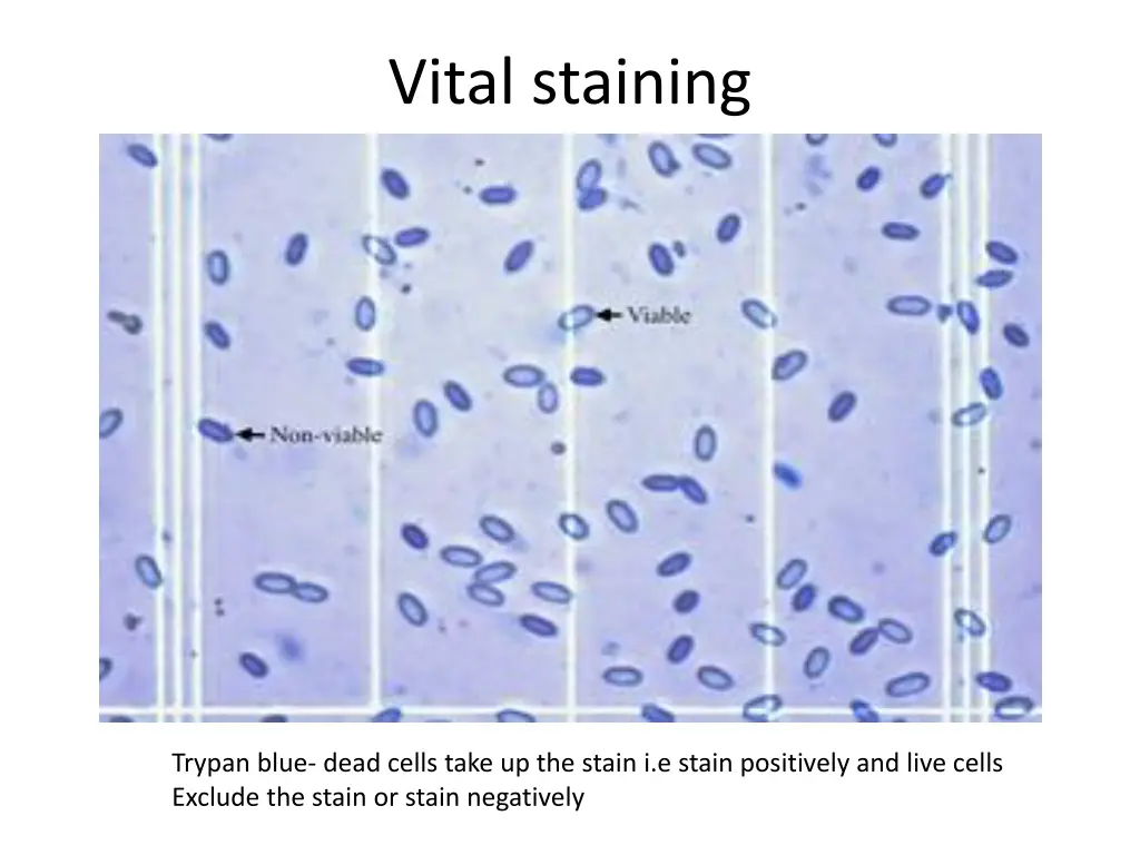 vital staining