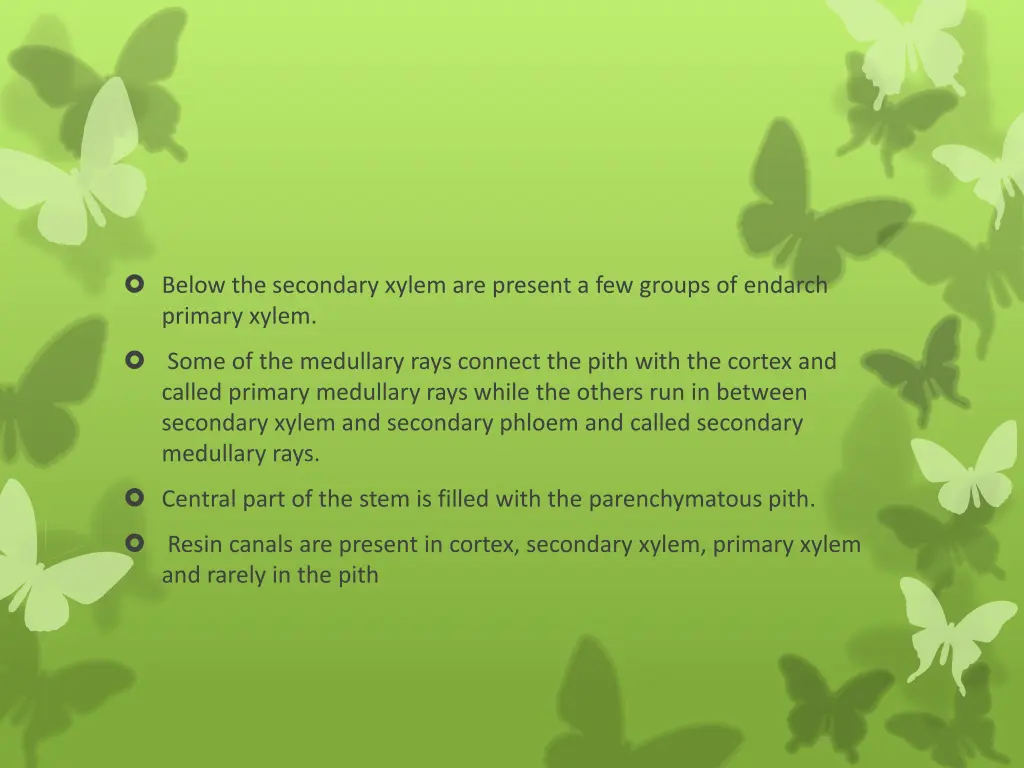 below the secondary xylem are present