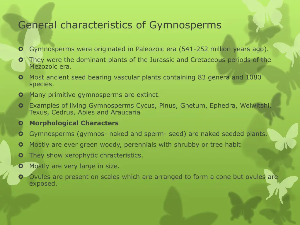 general characteristics of gymnosperms