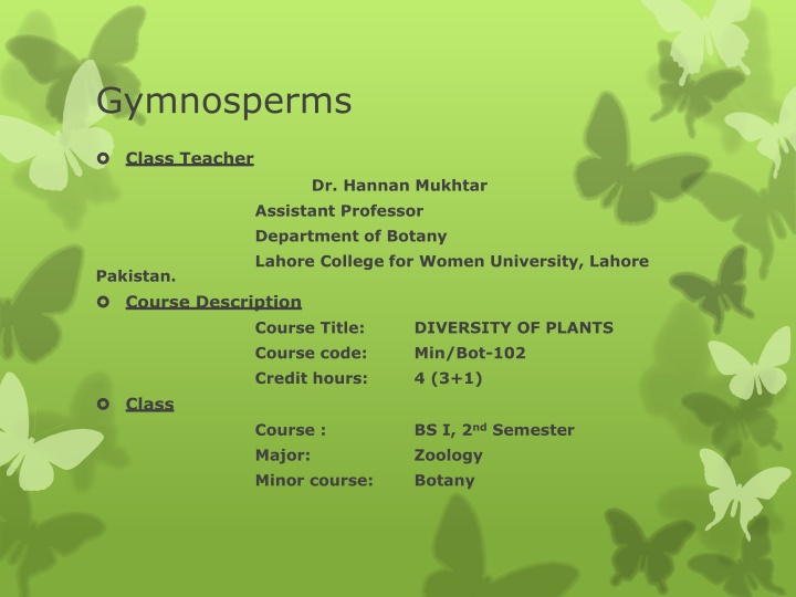 gymnosperms