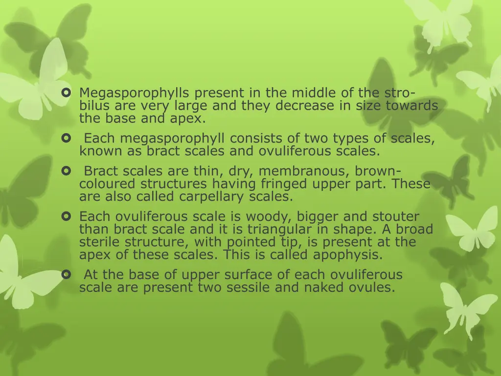 megasporophylls present in the middle of the stro