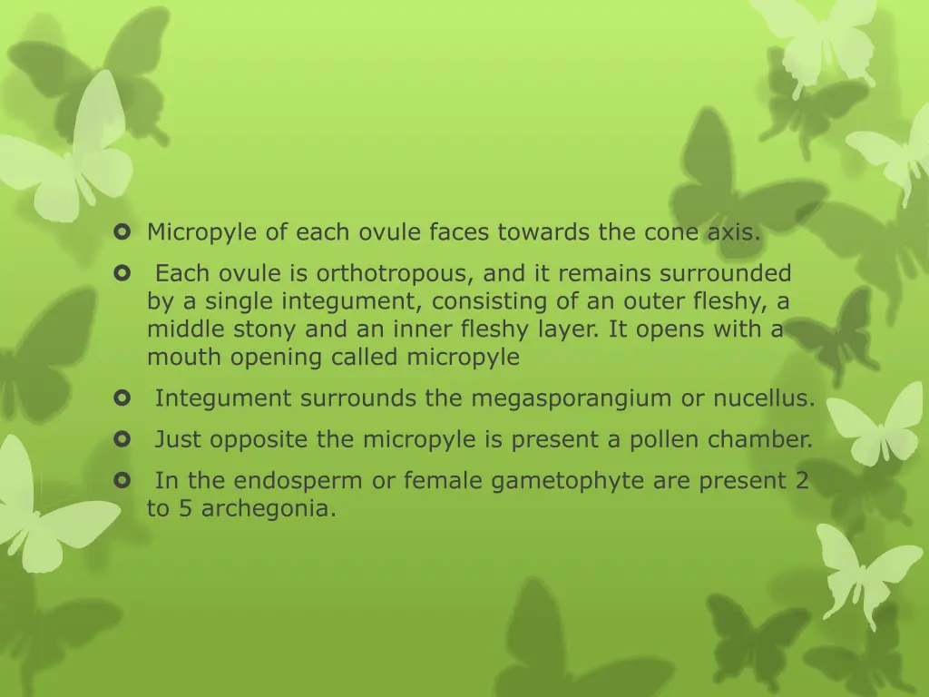 micropyle of each ovule faces towards the cone