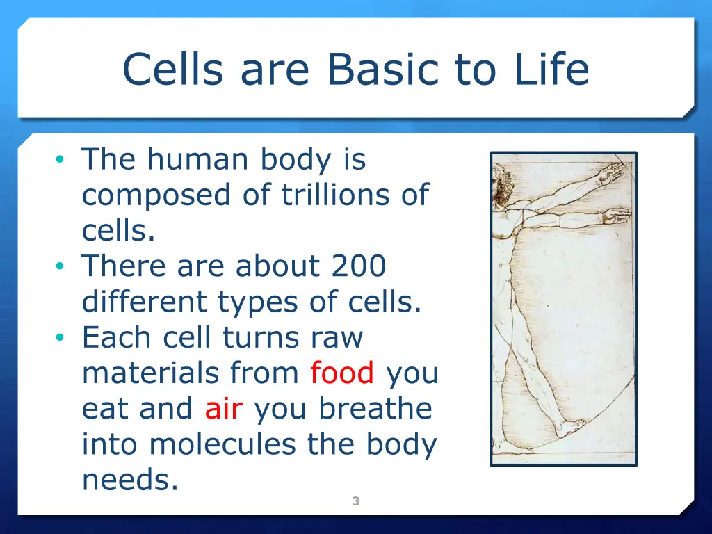 cells are basic to life