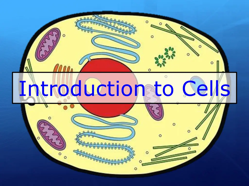 introduction to cells