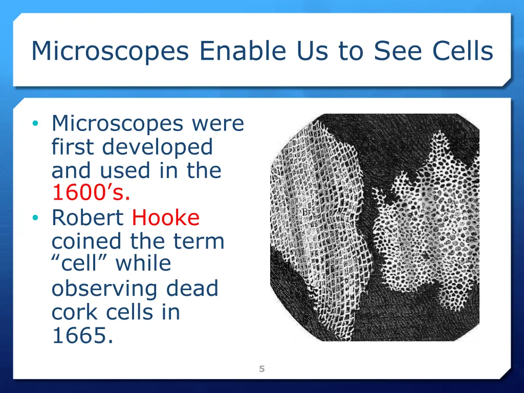 microscopes enable us to see cells