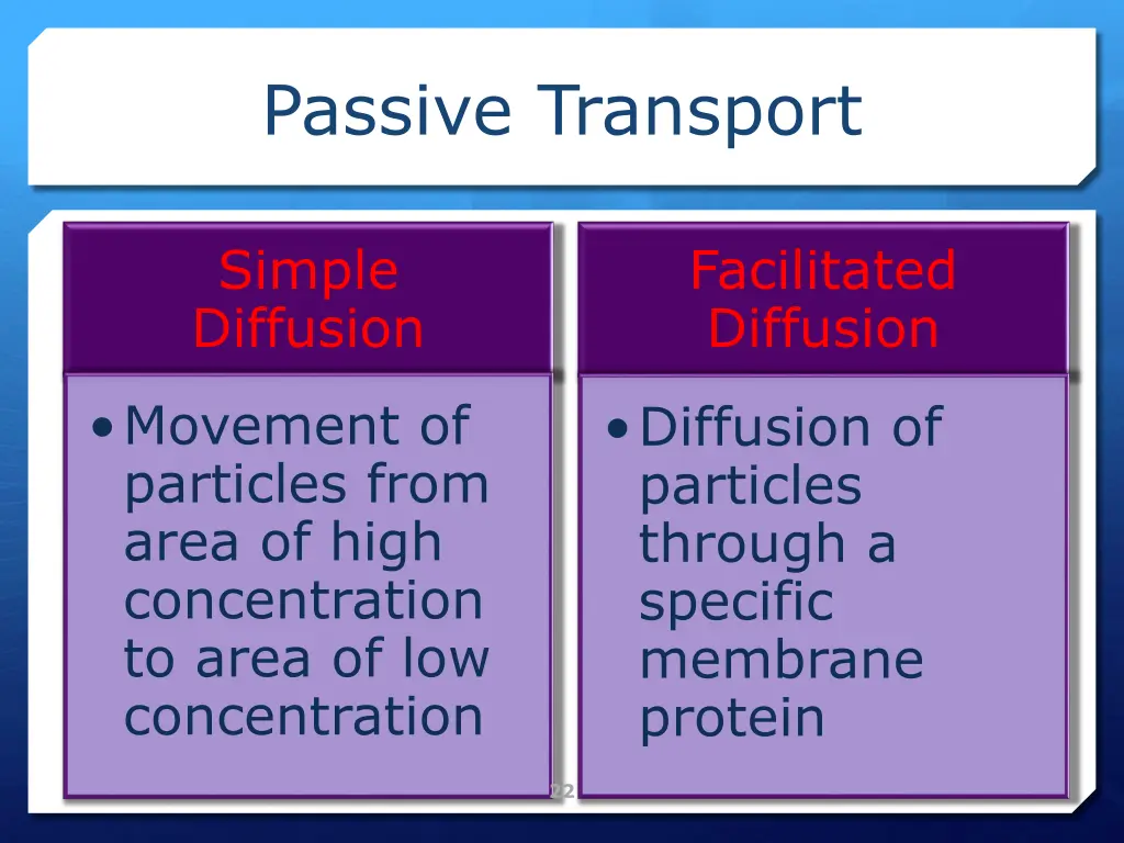 passive transport