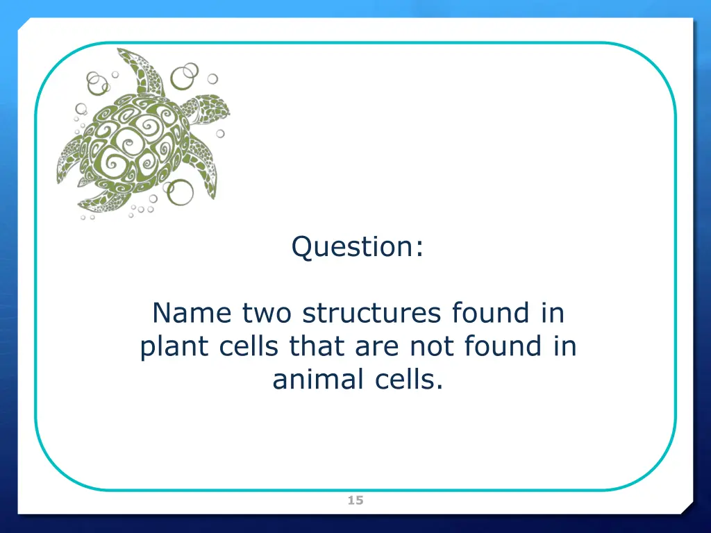 question 1