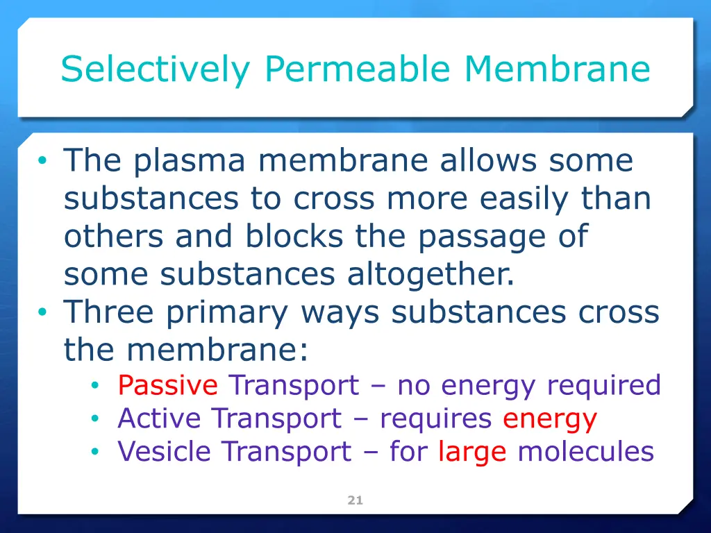 selectively permeable membrane