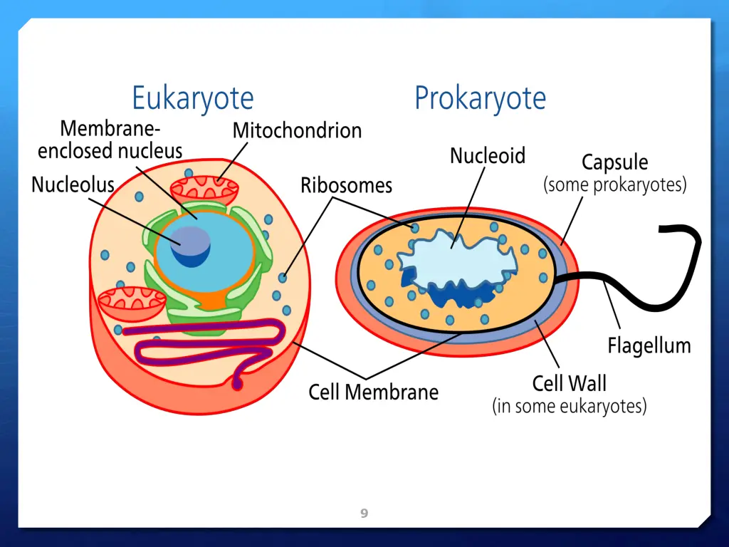 slide9