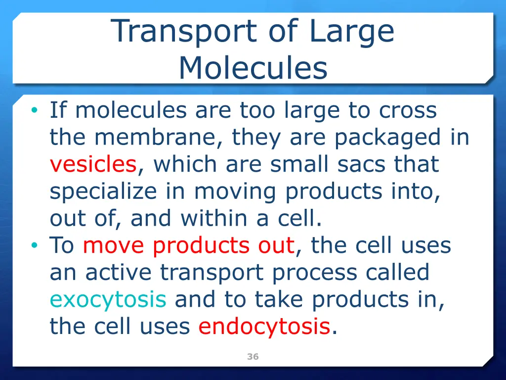 transport of large molecules if molecules