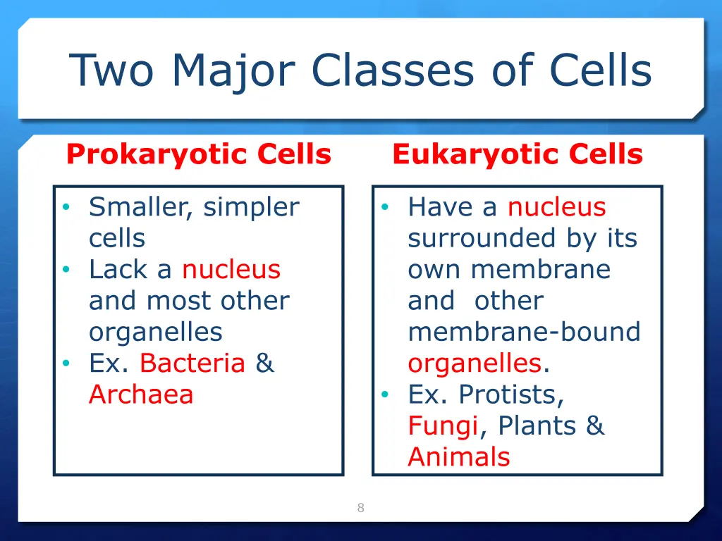 two major classes of cells