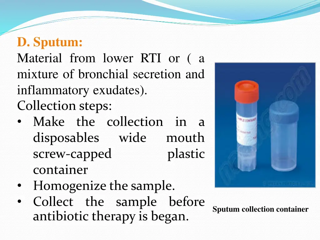d sputum material from lower rti or a mixture
