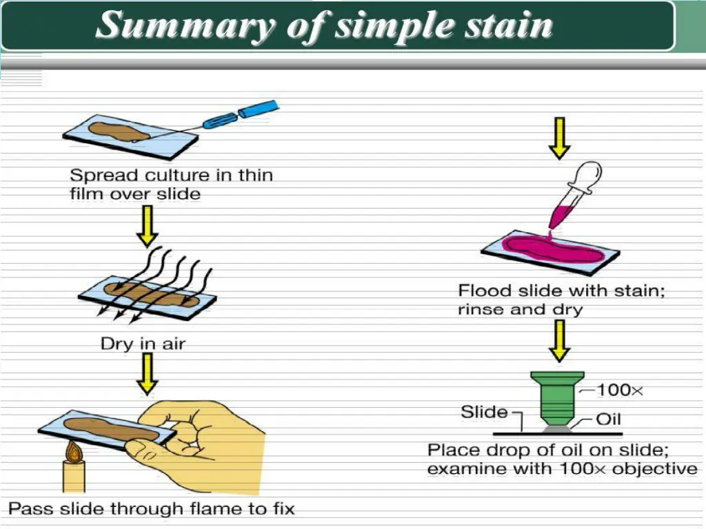 methods of simple staining