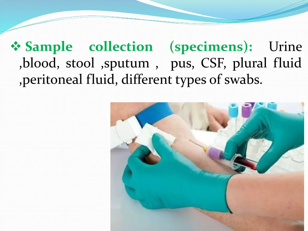 sample blood stool sputum pus csf plural fluid