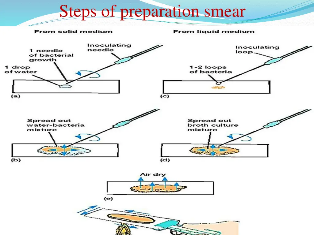 steps of preparation smear