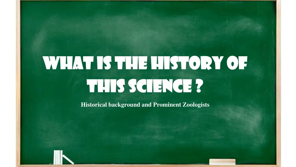 what is the history of what is the history