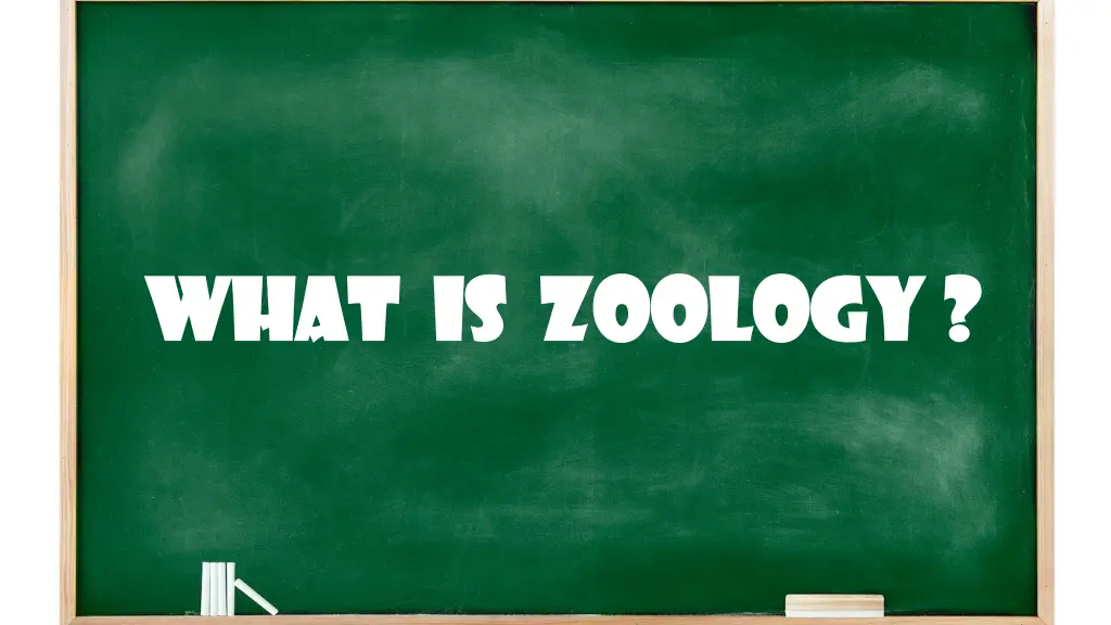 what is zoology what is zoology