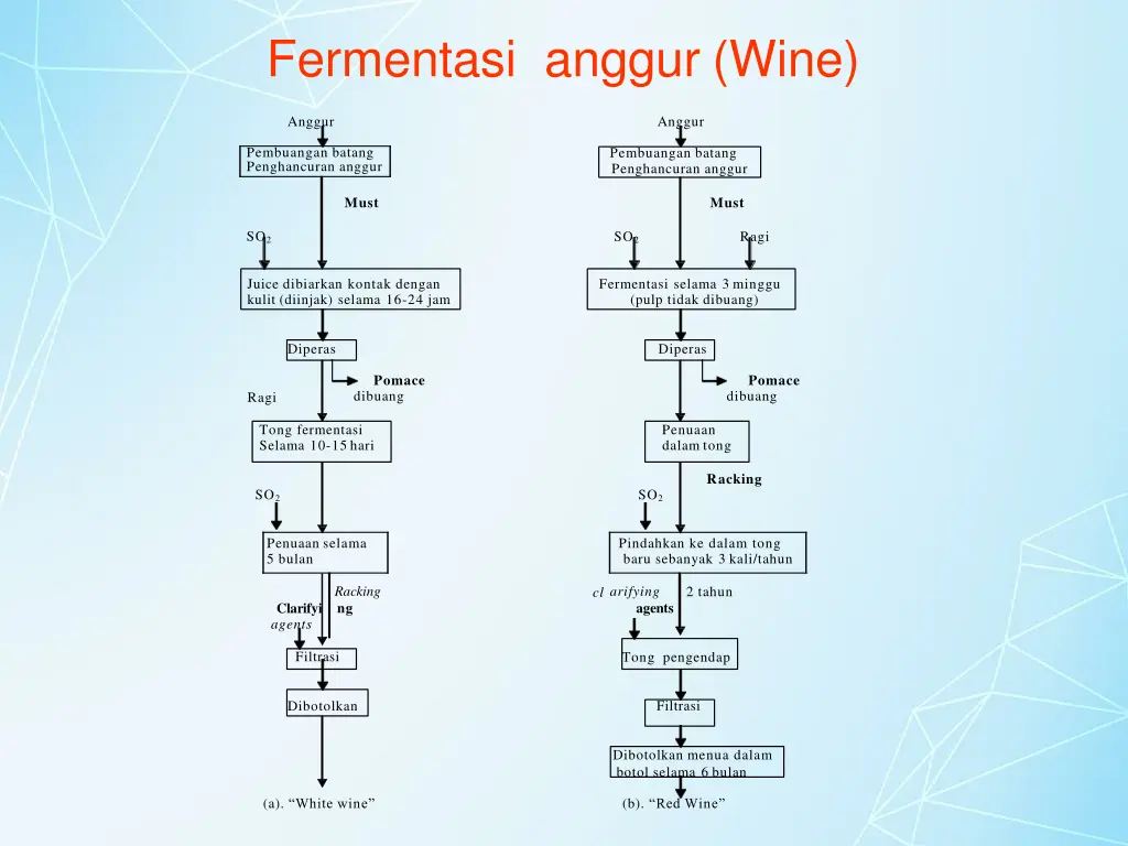 fermentasi anggur wine