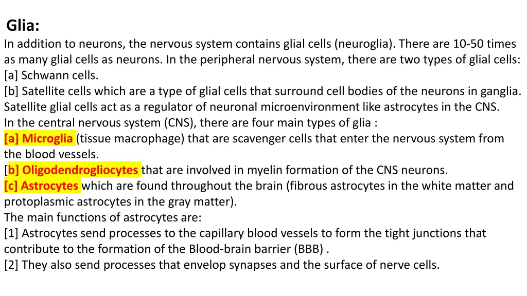glia in addition to neurons the nervous system
