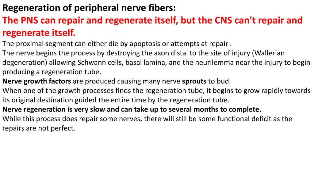regeneration of peripheral nerve fibers