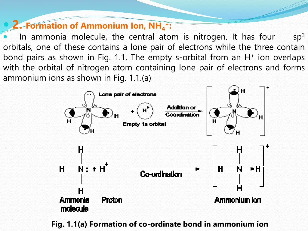 2 formation of ammonium ion nh 4 in ammonia