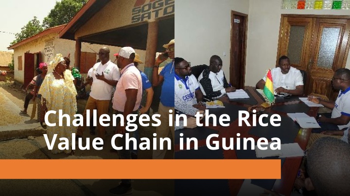 challenges in the rice value chain in guinea