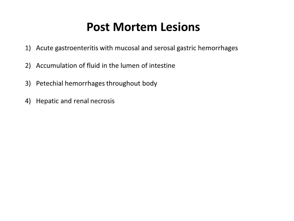 post mortem lesions