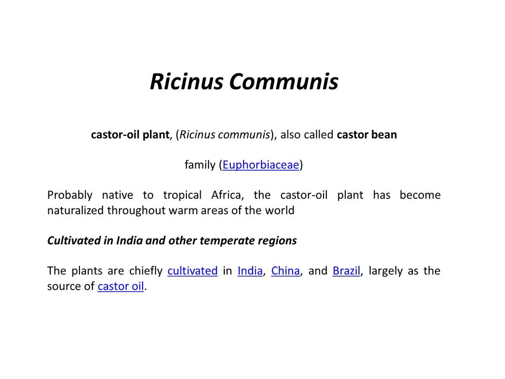 ricinus communis