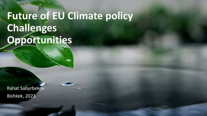 future of eu climate policy challenges