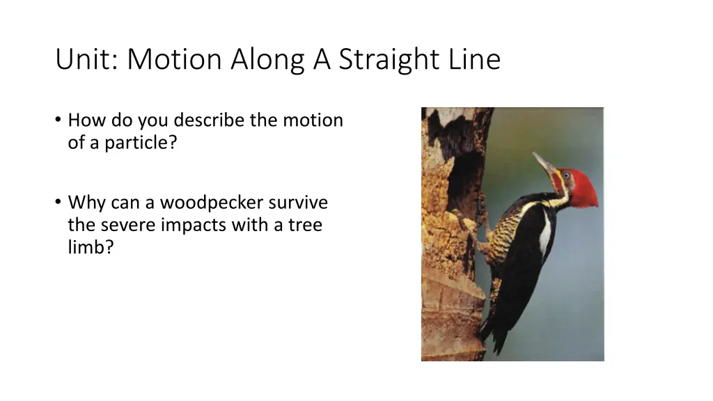 unit motion along a straight line 1