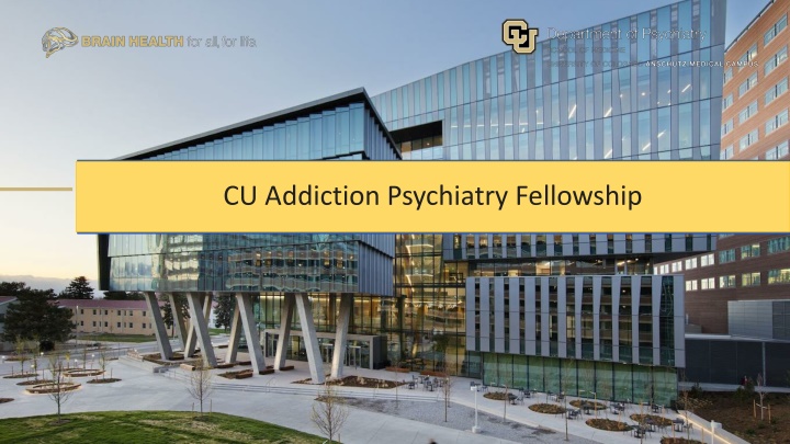 cu addiction psychiatry fellowship