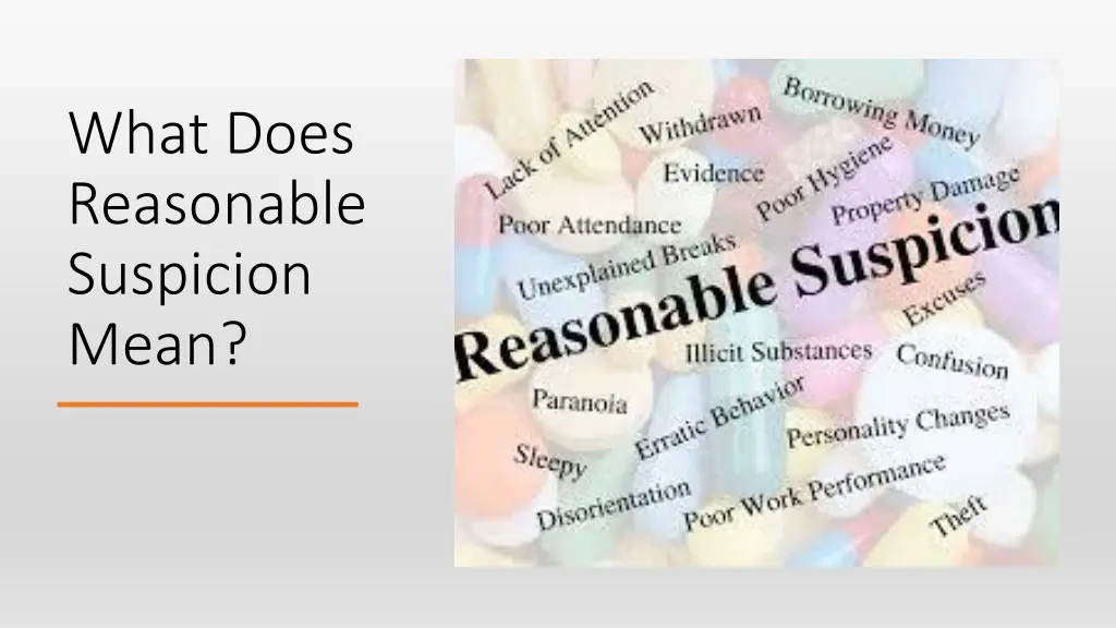 what does reasonable suspicion mean
