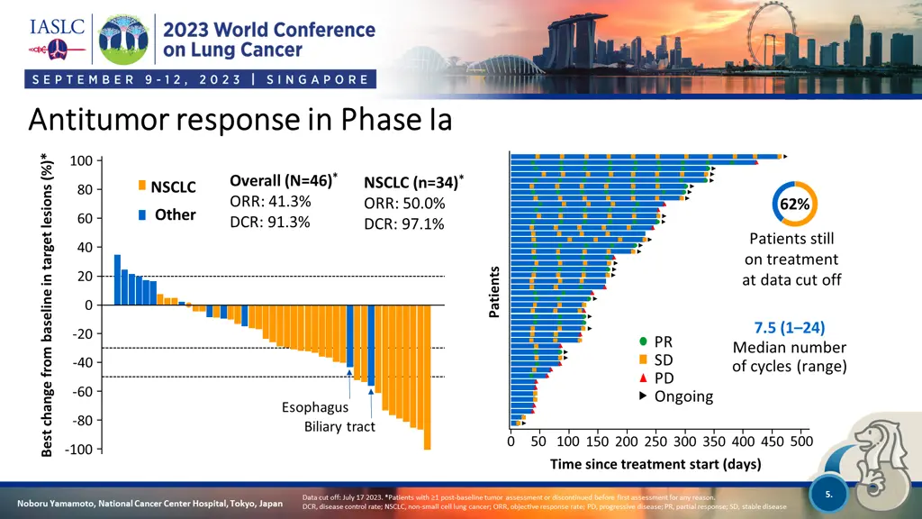 antitumor response in phase antitumor response