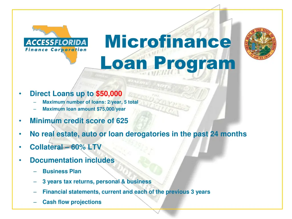 microfinance loan program 1