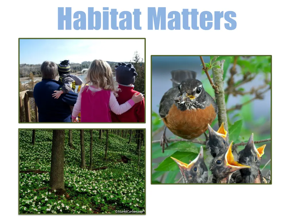 habitat matters